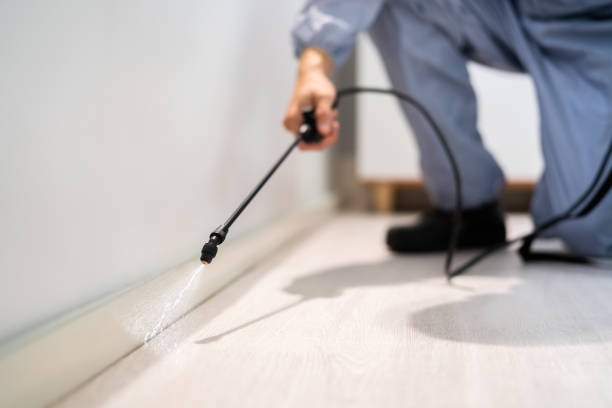 Licensed Termite Control service in Mansfield, LA - Nex Pest Control