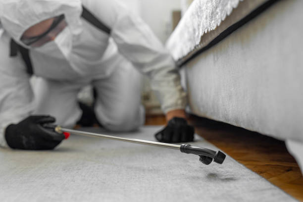 Professional Termite Control technician working in Mansfield, LA