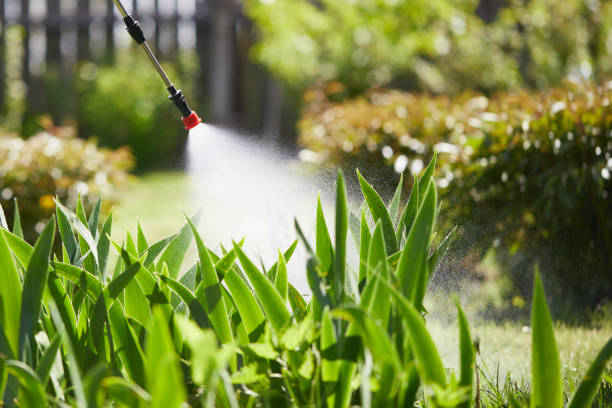 24/7 Emergency Termite Control experts in Mansfield, LA