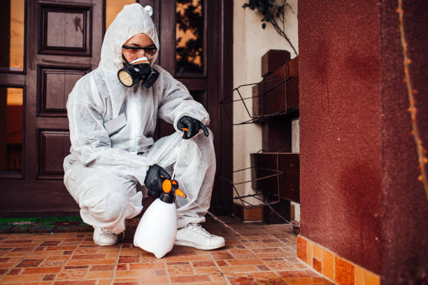 Reliable Termite Control contractor in Mansfield, LA by Nex Pest Control