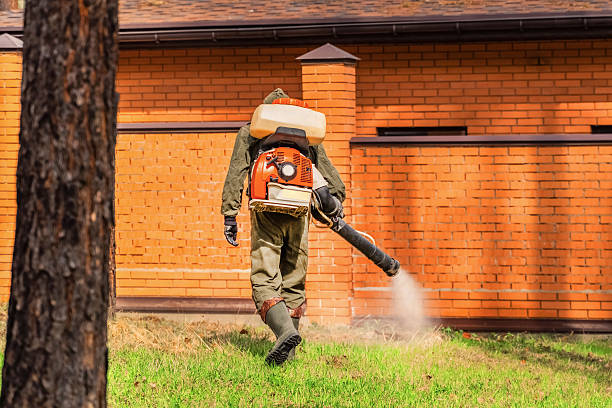 Top rated local Termite Control specialists in Mansfield, LA